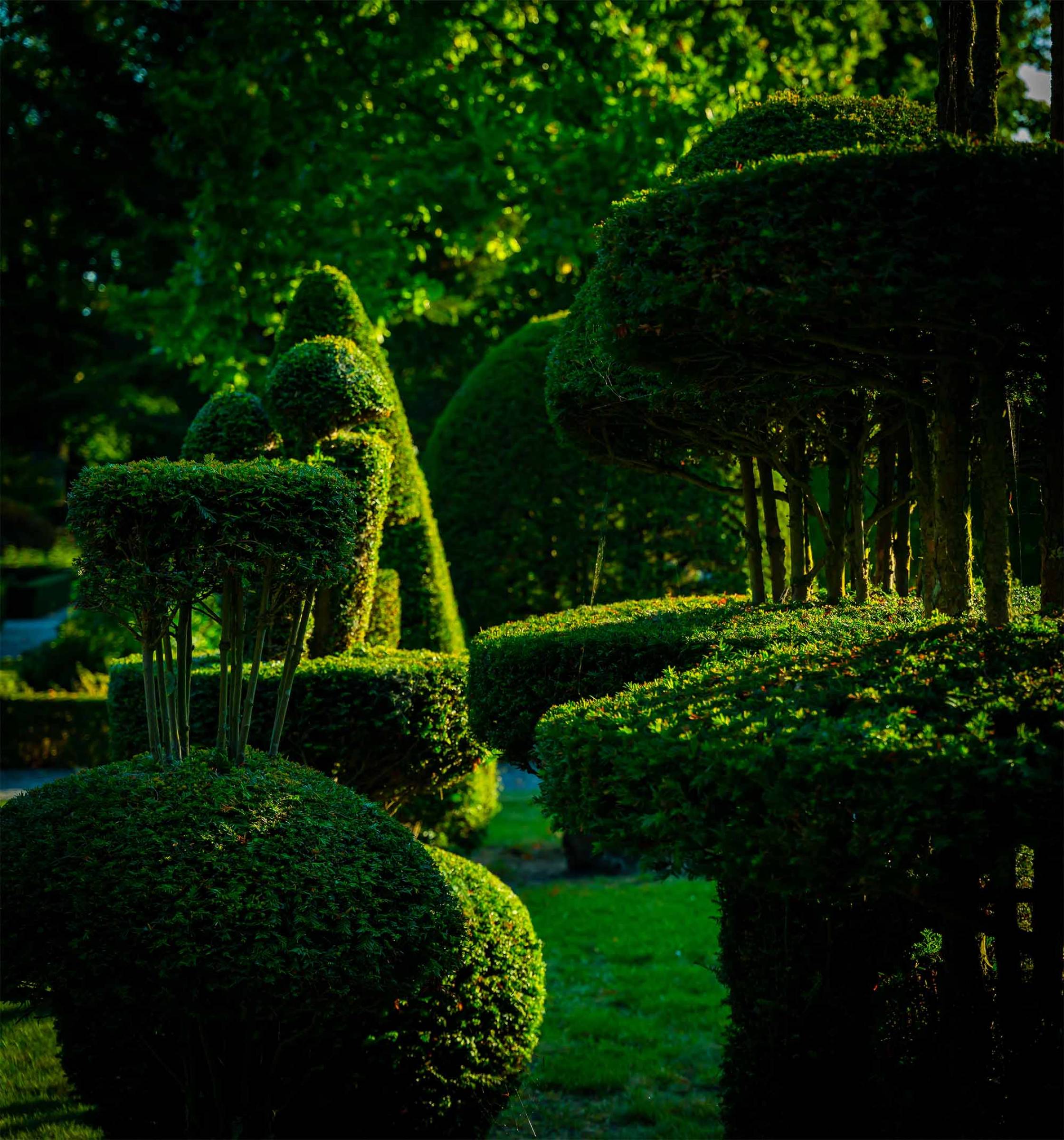 Etude et création de jardin : VERT TIGE - Roubaud Nicolas