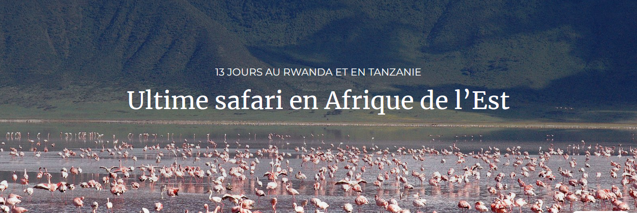 13 jours au Rwanda et en Tanzanie Ultime safari en Afrique de l’Est : Voyages De Luxe